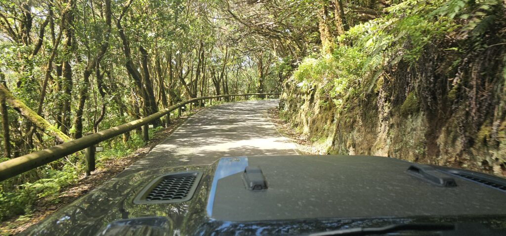 Offroad Tour Teneriffa Anaga