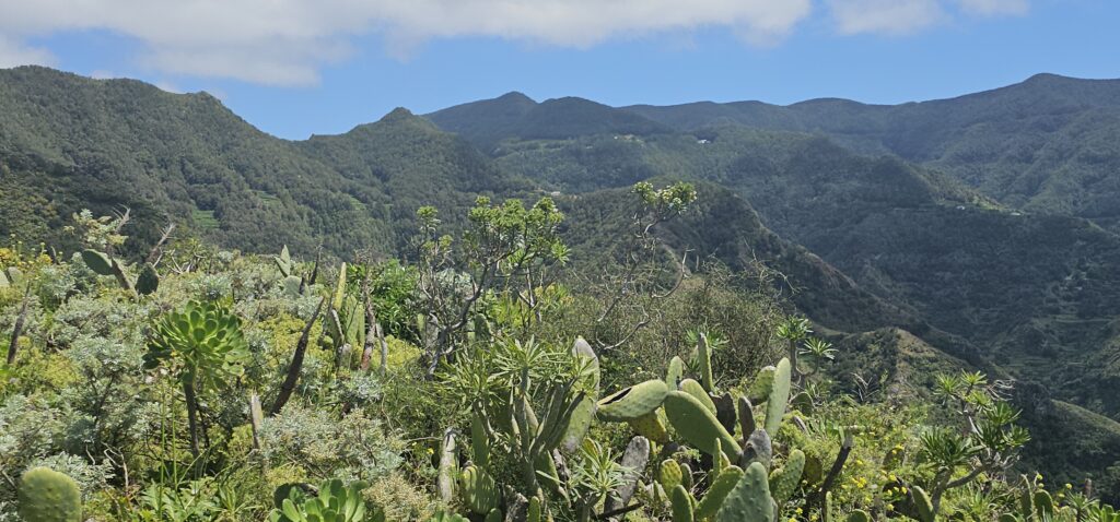 Offroad Tour Teneriffa Anaga