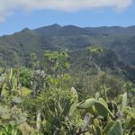 Offroad Tour Teneriffa Anaga